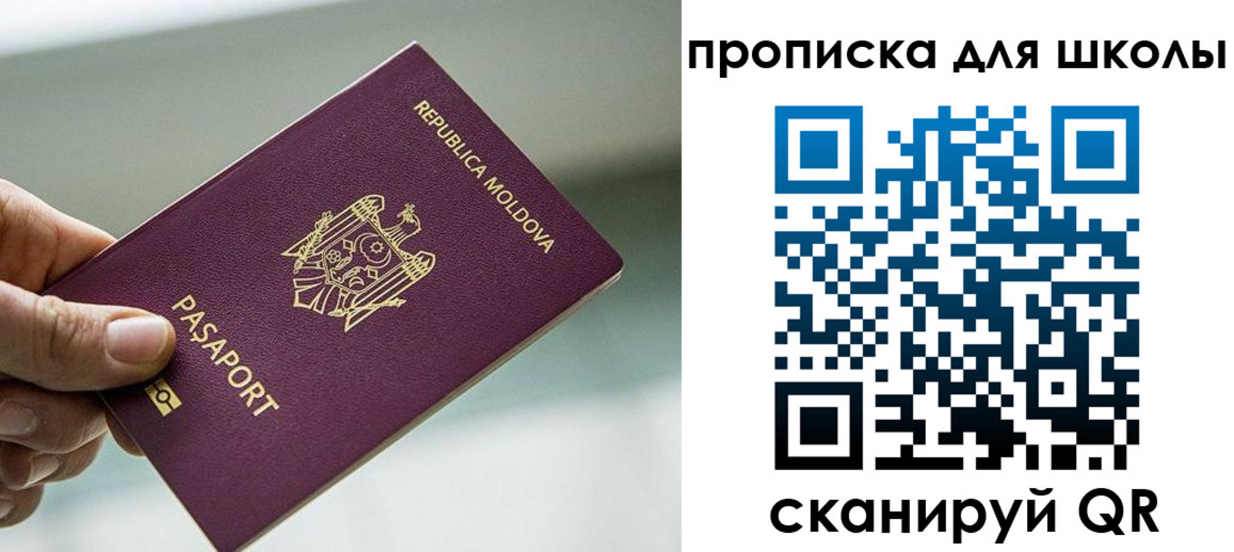 прописка в квартире в Заволжье